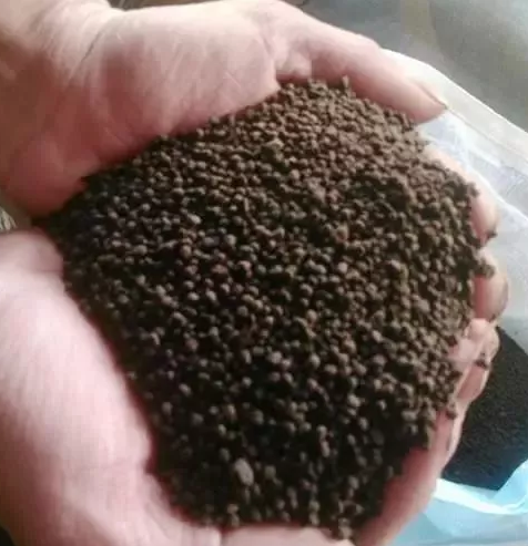 雞糞不腐熟可以用做有機(jī)肥嗎？(圖2)